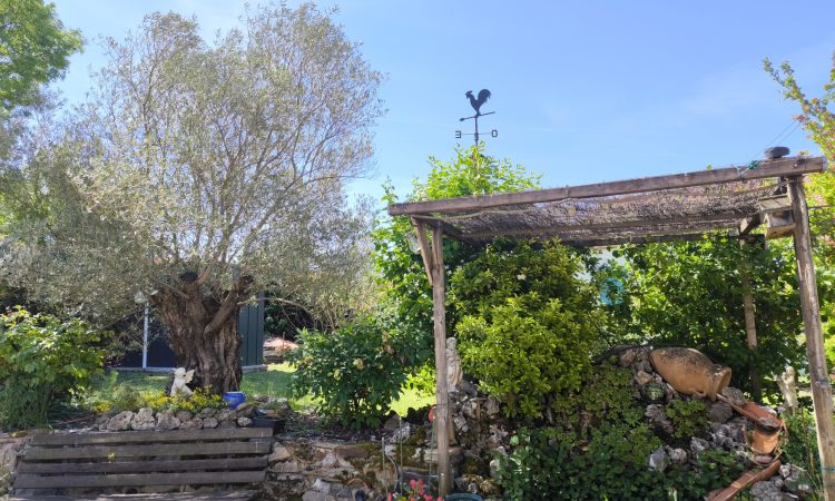 villa-de-plain-pied-a-castres-sur-sous-sol-06a6c117735360.jpg